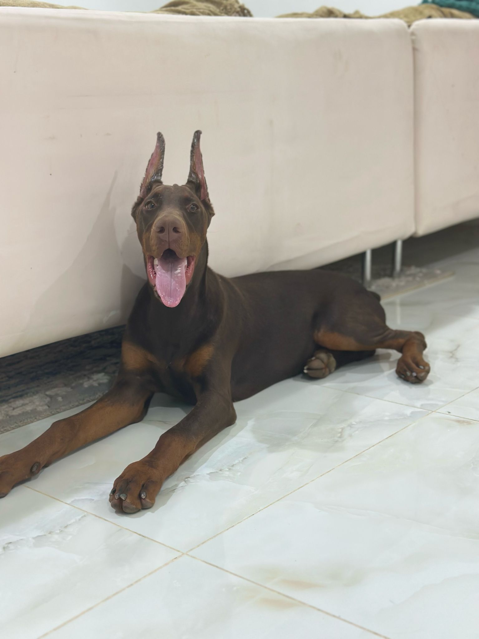 PHOTO-2025-05-20-15-57-24 2