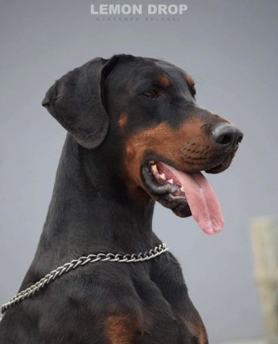 458378876_8849638705052926_8338677072248230347_n