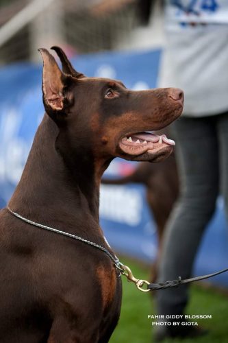 463202072_2814314975396189_3428888531171024878_n