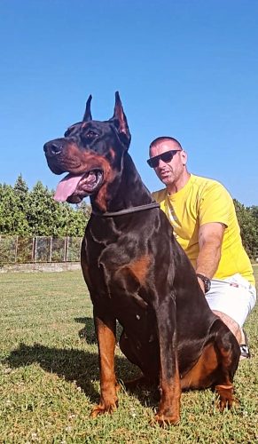 489327213_9293440780753463_4387905103768774991_n