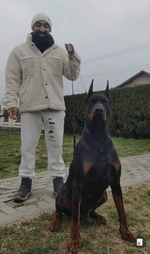 491834621_1378029970320257_2394594570651830016_n