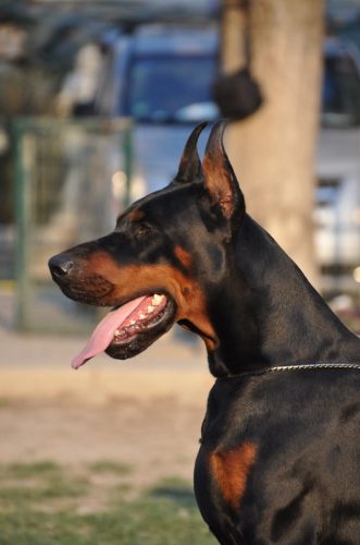 PHOTO-2025-05-18-17-42-20 2