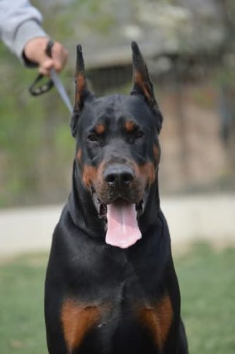 PHOTO-2025-05-18-17-42-20 3