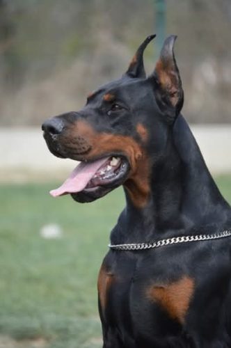 PHOTO-2025-05-18-17-42-21 2