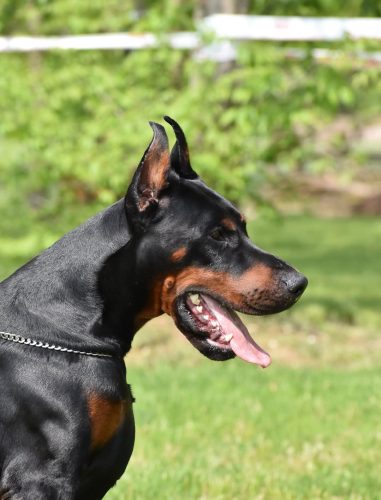 PHOTO-2025-05-18-17-42-21 3