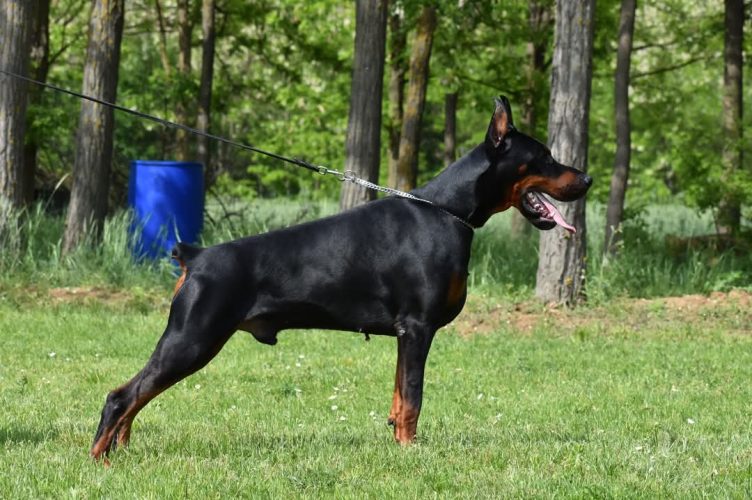 PHOTO-2025-05-18-17-42-21 4