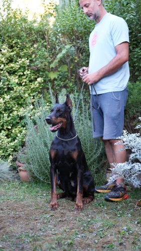 PHOTO-2025-05-18-20-44-39 2