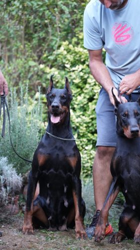 PHOTO-2025-05-18-20-44-39