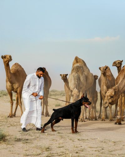 PHOTO-2025-05-18-21-12-01 2