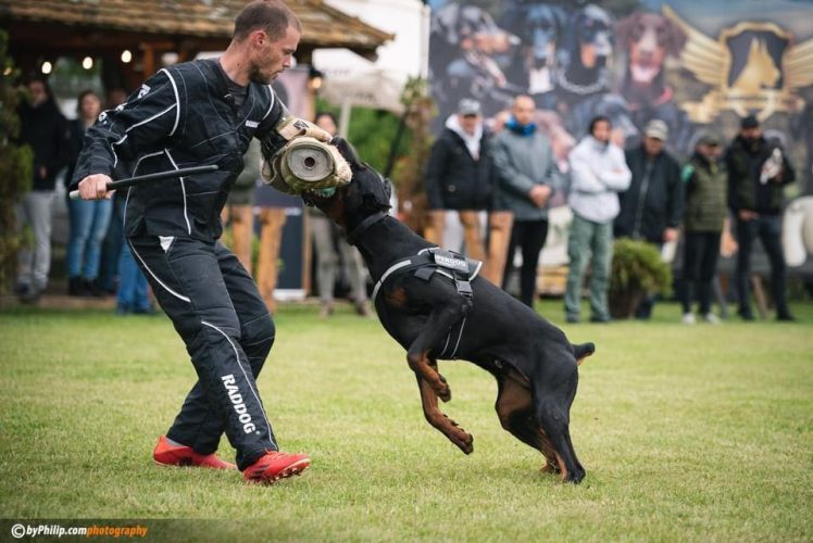 PHOTO-2025-05-18-21-12-03