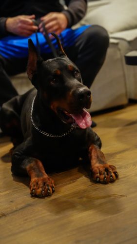 PHOTO-2025-05-18-21-12-06