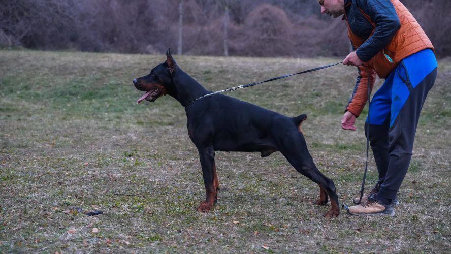 PHOTO-2025-05-18-21-12-07 2