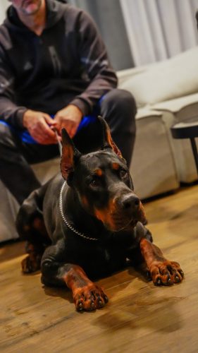 PHOTO-2025-05-18-21-12-07