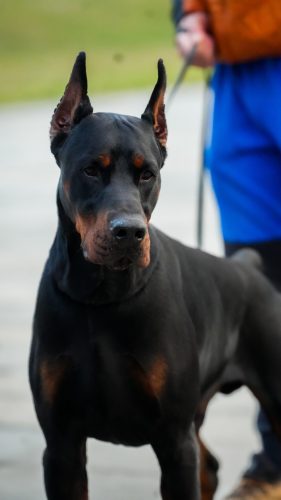 PHOTO-2025-05-18-21-12-08