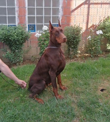 PHOTO-2025-05-18-21-59-36 5