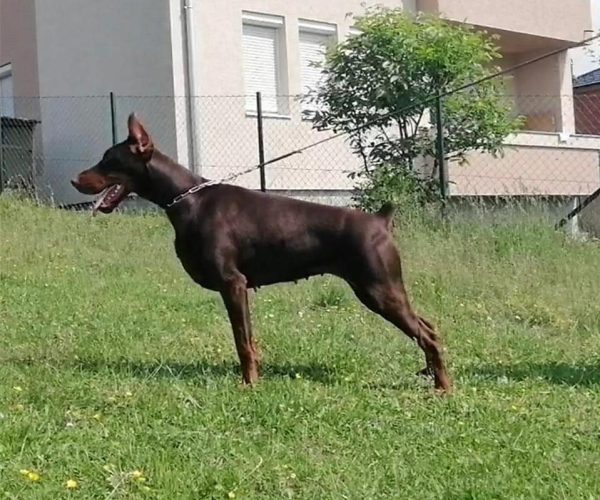 PHOTO-2025-05-18-21-59-36 6