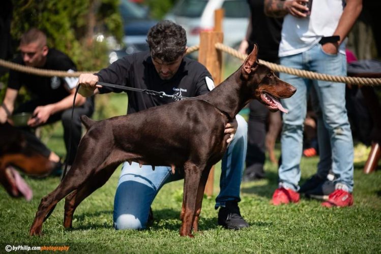 PHOTO-2025-05-18-21-59-36