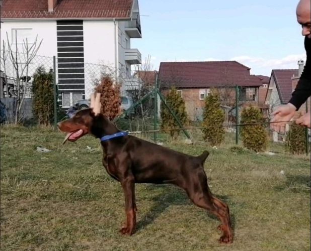 PHOTO-2025-05-18-21-59-37 2