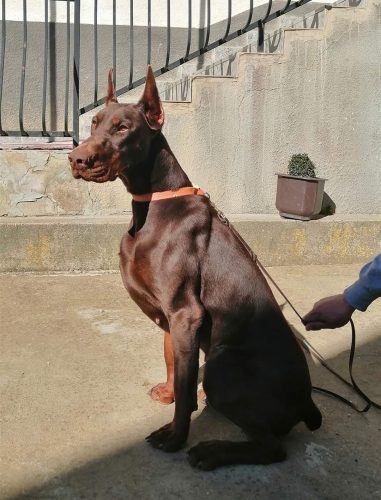 PHOTO-2025-05-18-21-59-37 4