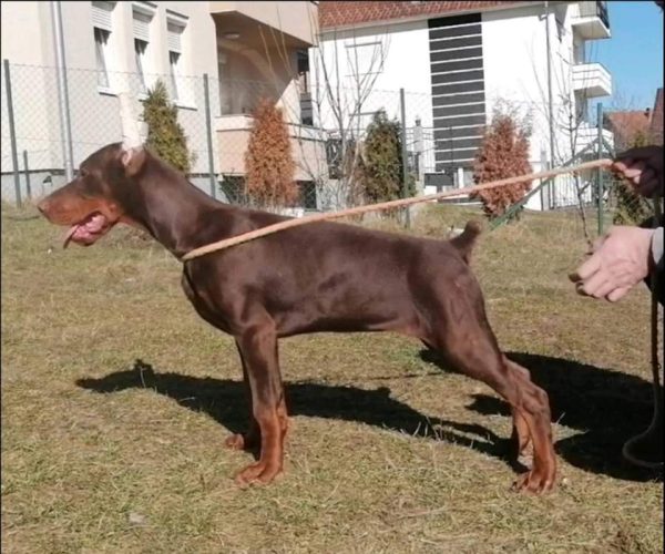 PHOTO-2025-05-18-21-59-37 6