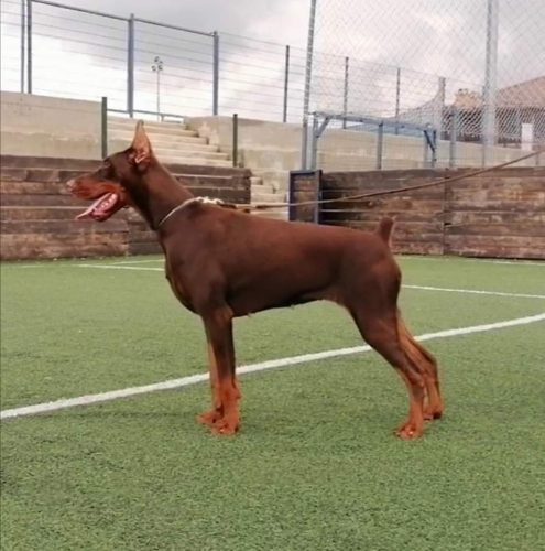 PHOTO-2025-05-18-21-59-38 4