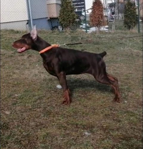 PHOTO-2025-05-18-21-59-38 5