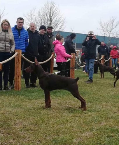 PHOTO-2025-05-18-21-59-39 5