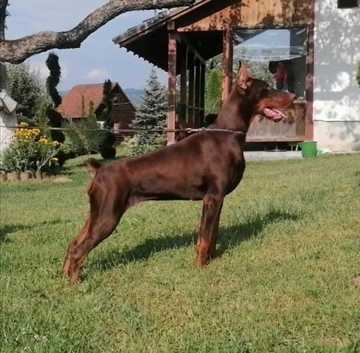 PHOTO-2025-05-18-21-59-39 6