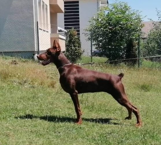 PHOTO-2025-05-18-21-59-39 7