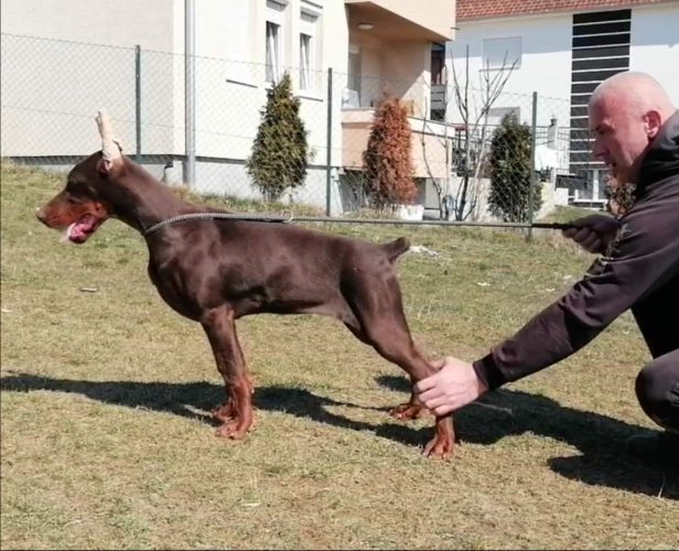 PHOTO-2025-05-18-21-59-39 8