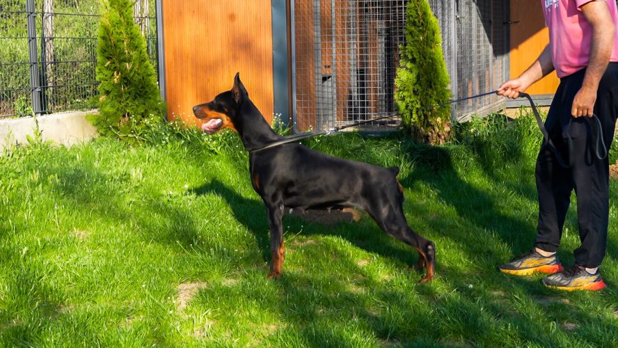 PHOTO-2025-05-20-15-32-21 2