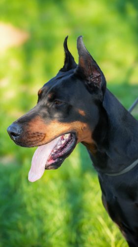 PHOTO-2025-05-20-15-32-21