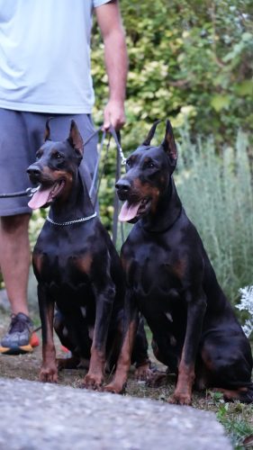 PHOTO-2025-05-20-15-32-22 2