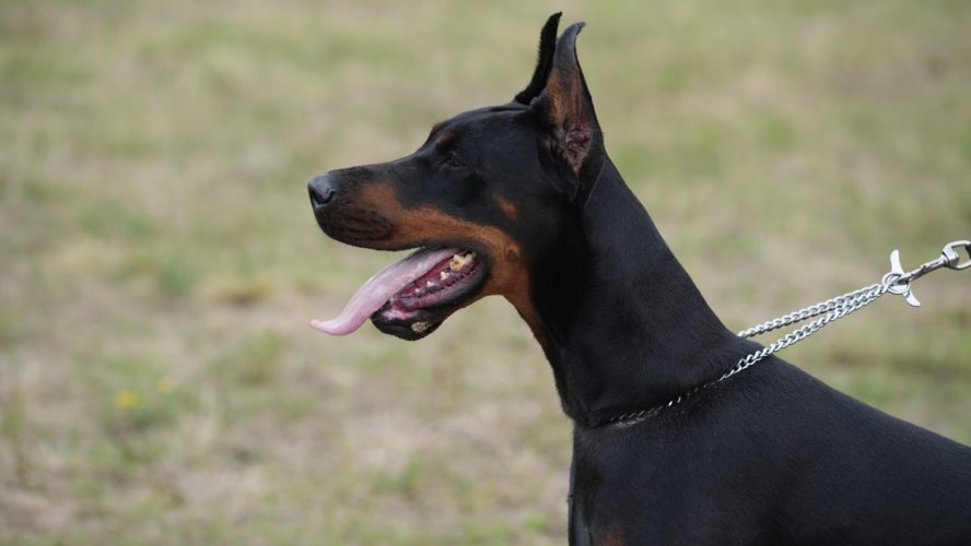 PHOTO-2025-05-20-15-32-22 3