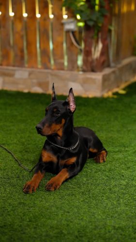 PHOTO-2025-05-20-15-53-52