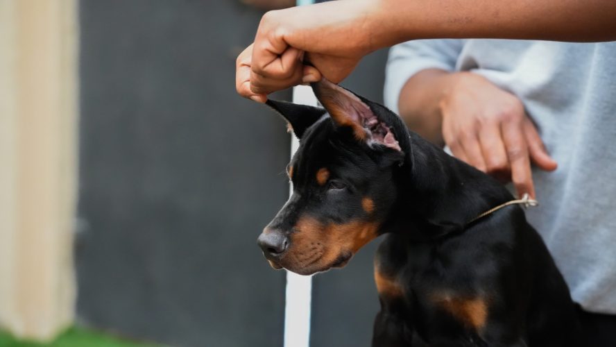 PHOTO-2025-05-20-15-53-54 2