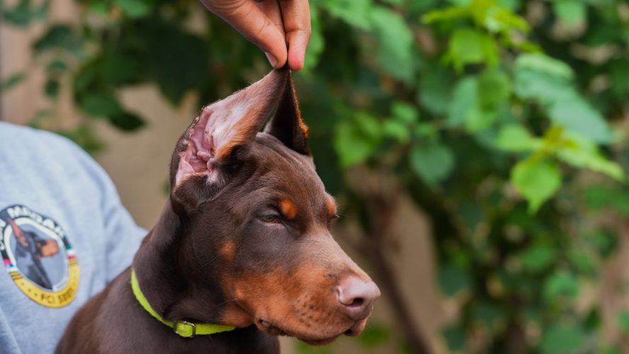 PHOTO-2025-05-20-15-53-55 2