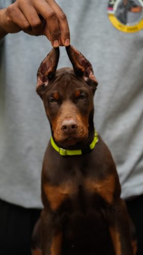 PHOTO-2025-05-20-15-53-55