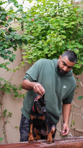 PHOTO-2025-05-20-15-53-56 2