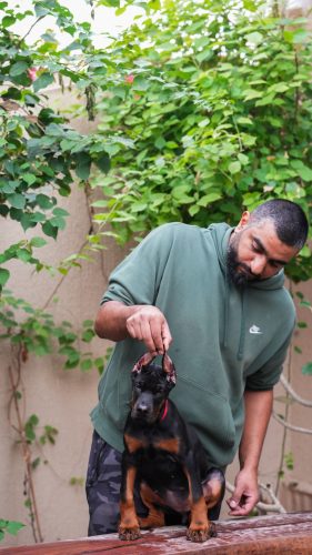 PHOTO-2025-05-20-15-53-56