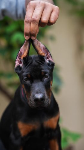 PHOTO-2025-05-20-15-53-57 2