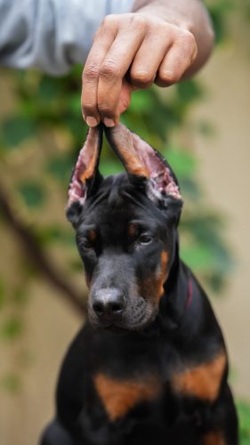 PHOTO-2025-05-20-15-53-57 4