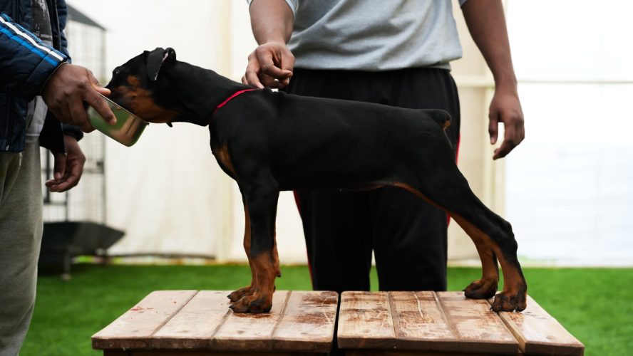 PHOTO-2025-05-20-15-53-57 5