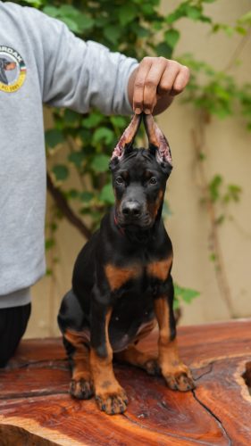 PHOTO-2025-05-20-15-53-57