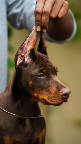 PHOTO-2025-05-20-15-54-00 2