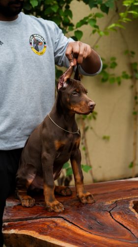 PHOTO-2025-05-20-15-54-00 3