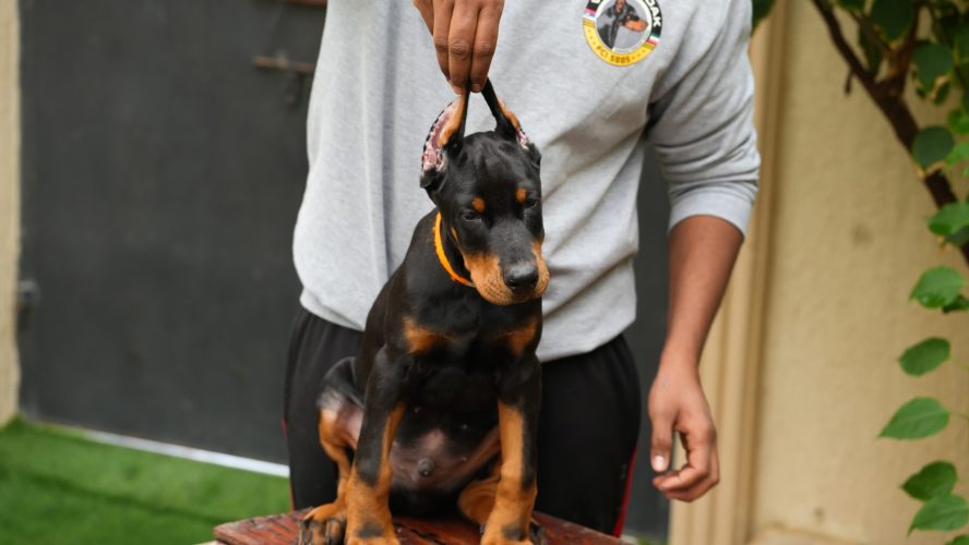 PHOTO-2025-05-20-15-54-01 2