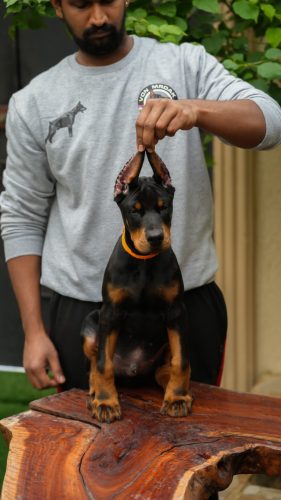 PHOTO-2025-05-20-15-54-01