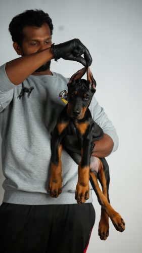 PHOTO-2025-05-20-15-54-02