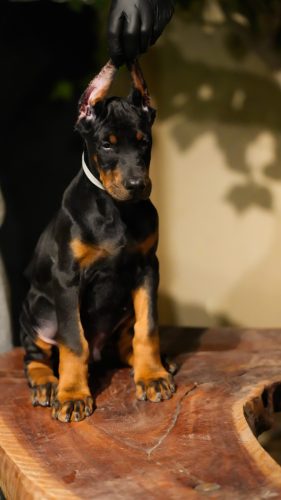 PHOTO-2025-05-20-15-54-06